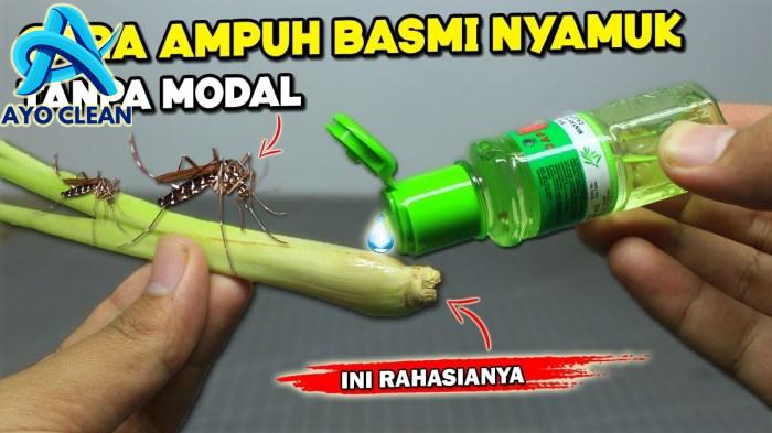 Cara mengusir nyamuk dengan sabun