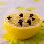 5 Cara Mengusir Lalat di Rumah Secara Alami Agar Terbebas dari Penyakit ...