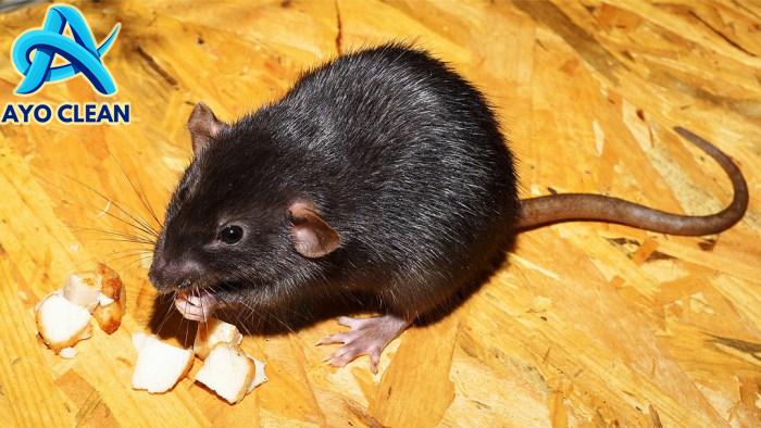 Cara Menghilangkan Lem Korea di Tangan Secara Aman dan Mudah