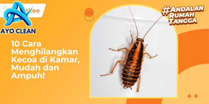 Langkah-langkah Efektif Cara Mengusir Kecoa Di Kamar Tidur
