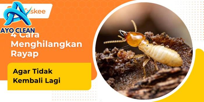 4 Cara Menghilangkan Rayap agar Tidak Kembali Lagi – bTaskee