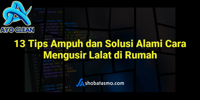 5 Cara Mengusir Lalat di Dalam Rumah dengan Bahan Alami Tanpa Semprotan ...