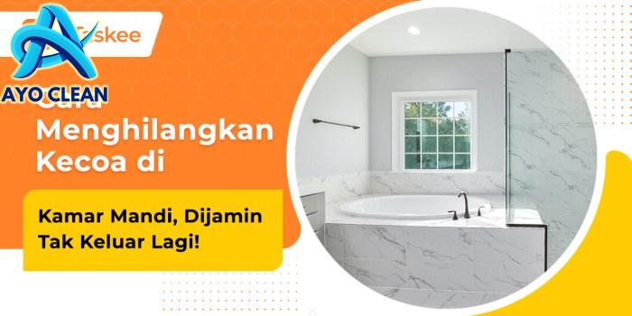 Cara Menghilangkan Kecoa Di Rumah | Insekta