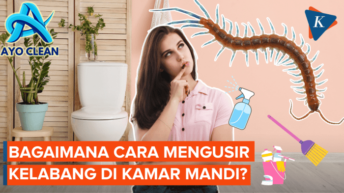 Begini Cara Mengusir Kelabang yang Muncul di Kamar Mandi