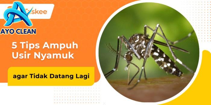 Cara Mudah Menghilangkan Membunuh Jentik-Jentik Nyamuk Di Genangan Air ...