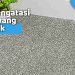 Begini Cara Membersihkan Karpet Rumah Anda, agar Wangi dan Cantik ...