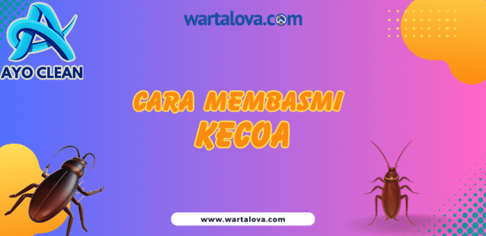 Cara membasmi kecoa di saluran air