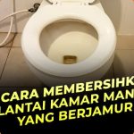 Cara memutihkan lantai kamar mandi