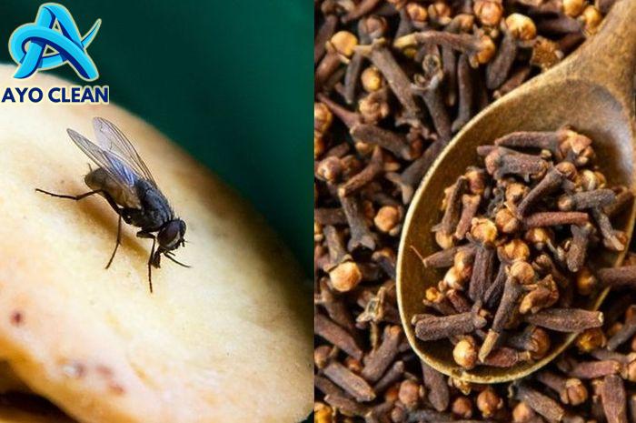 Cara mengusir lalat dengan serai