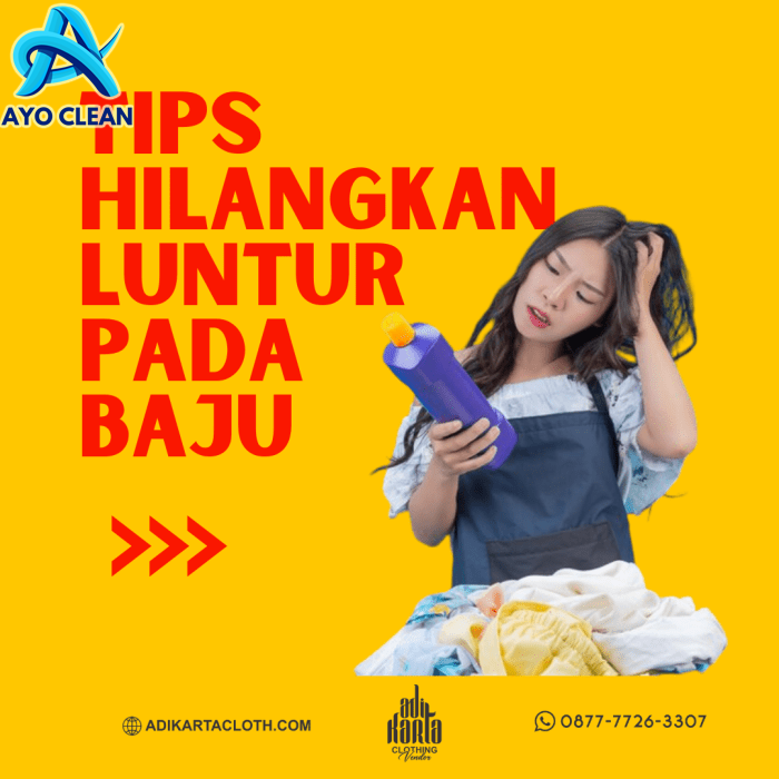 Cara Menghilangkan Tikus Di Rumah - Perumperindo.co.id