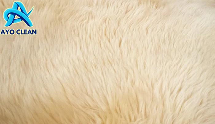 Cara cuci karpet permadani