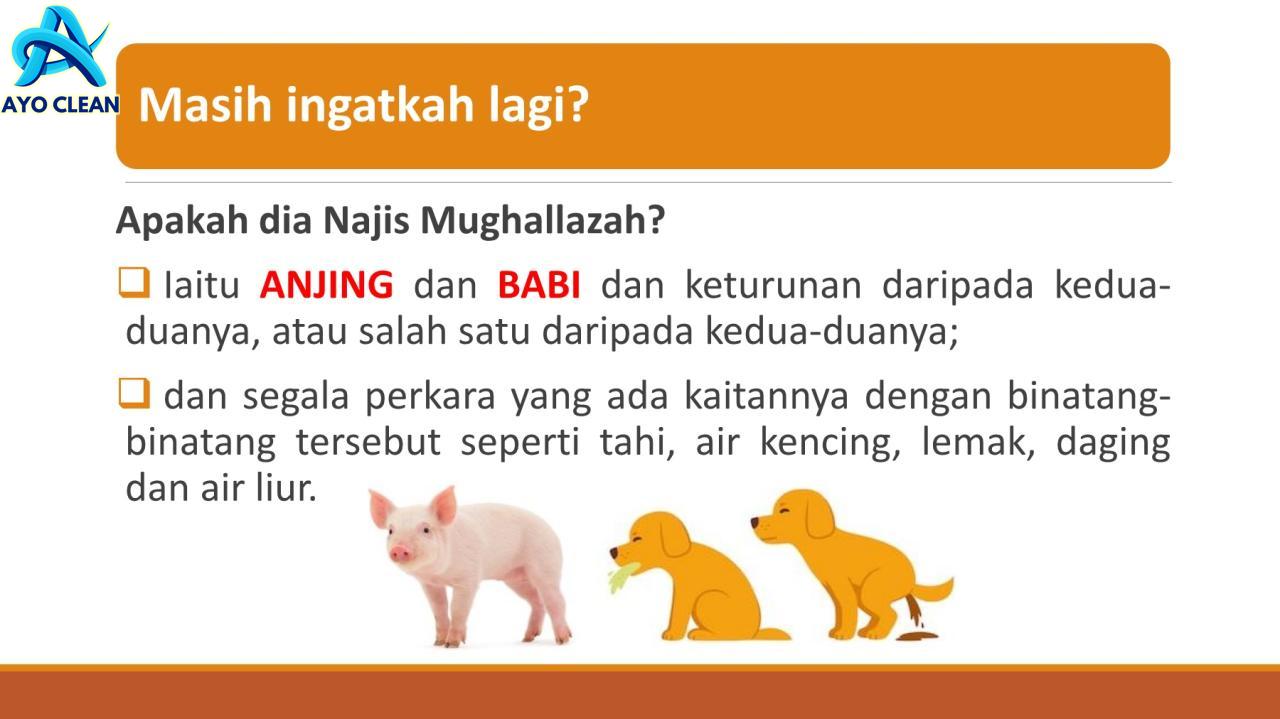 Cara membersihkan najis tahi cicak