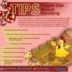 Cara Cegah Ular Masuk Rumah / 5 Cara Mencegah Ular Masuk Ke Dalam Rumah ...