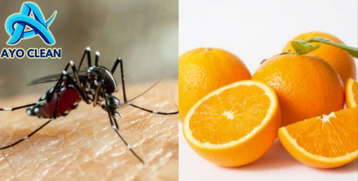 Cara membuat lotion anti nyamuk dari kulit jeruk