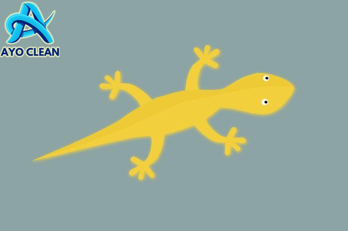 Kenapa Cicak Dapat Berjalan di Permukaan Licin dan Tetap Hidup Meski ...