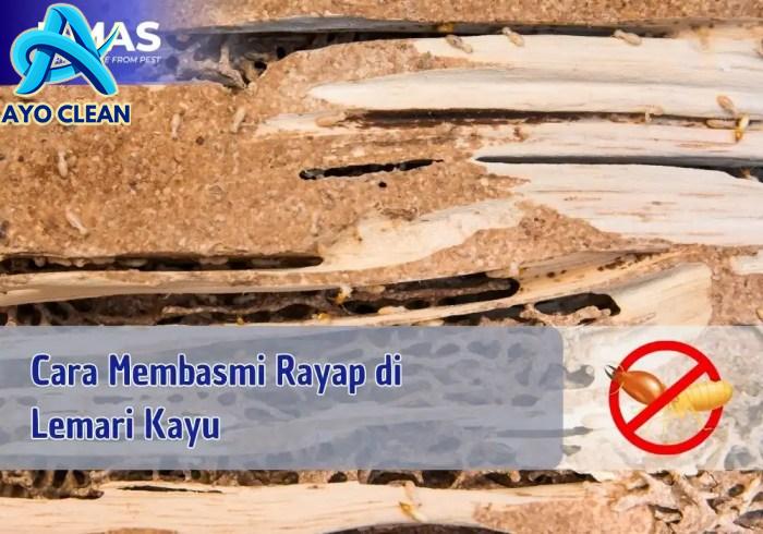 Jenis-jenis Nyamuk Pembawa Penyakit dan Bahayanya