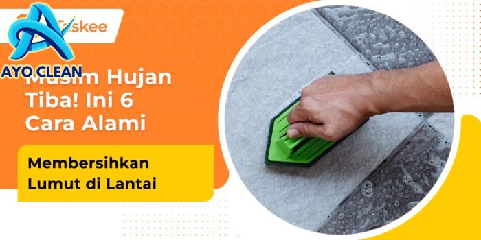6 Cara Membersihkan Lumut di Lantai Secara Alami – bTaskee