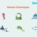 Cara Berkembang Biak Kadal Sangat Unik, Tergantung Jenisnya!