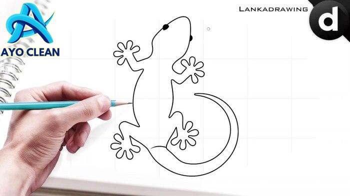 Cara menggambar cicak