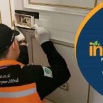 Cara menghilangkan rayap di lemari