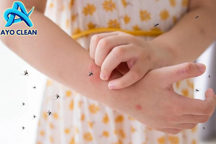 6+ Cara Mengobati Gigitan Serangga dengan Mudah dan Alami