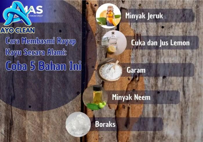Metode Anti Rayap Terbaik (Injeksi, Umpan, Spraying)