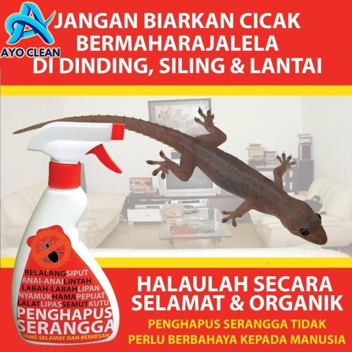 [HOT DEMAND] RACUN PENGHAPUS CICAK | PGMall