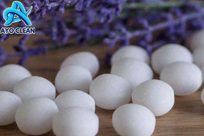 Cara mengusir tikus di sawah dengan kapur barus