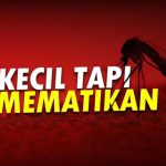 5 Cara Membasmi Nyamuk di Kamar, Lakukan Ini dan Bikin Nyamuk Cepat Minggat