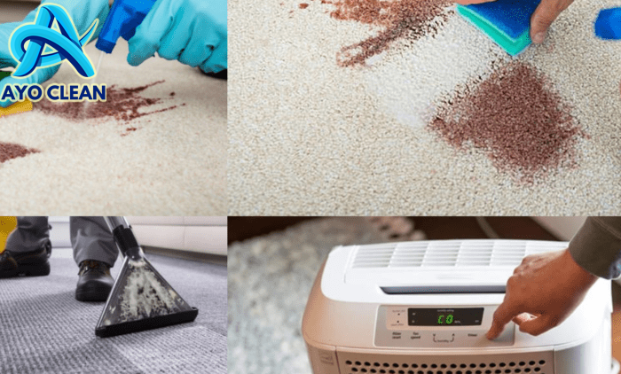 Carpetshop Blog | Cara Mengeringkan Karpet yang Basah