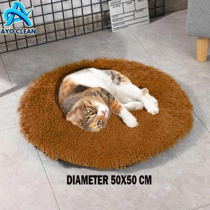 Cara membuat kasur kucing