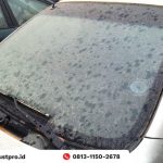 Begini Cara Menghilangkan Jamur di Kaca Mobil - Asuransi Lengkap, Premi ...