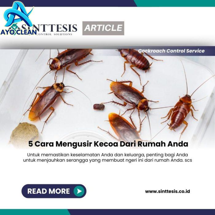 7 Cara Mengusir Kecoa di Rumah Menggunakan Bahan Alami