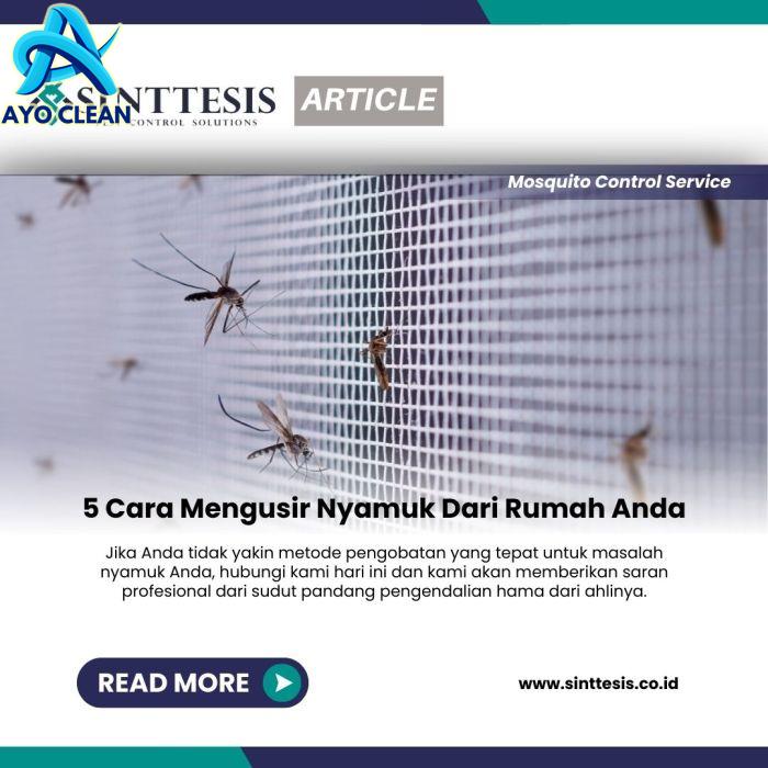 Inilah Cara Mudah Mengusir Nyamuk di Rumah Tanpa Bahan Kimia, Pakai ...