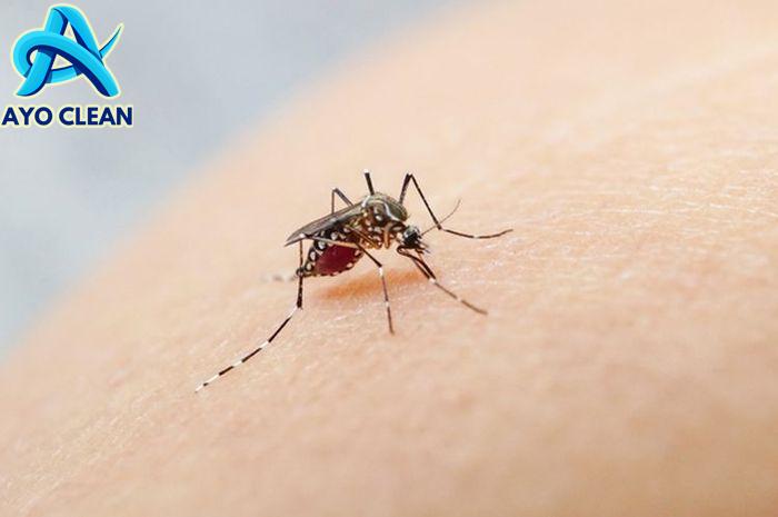 Cara mengusir nyamuk dengan sabun