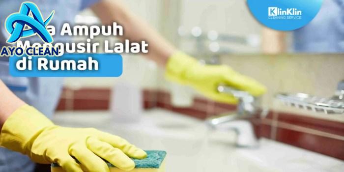 5 Cara Alami Mengusir Lalat di Rumah, Sederhana Tapi Ampuh
