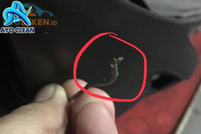 2 Cara Mencegah Tikus Bersarang di Motor, Kabel Kelistrikan Aman Dari ...