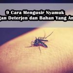 9 Cara Mengusir Nyamuk Dengan Deterjen dan Bahan Yang Aman - BanyakCara