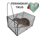 Jual jebakan perangkap tikus massal | Shopee Indonesia