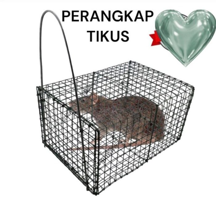 Jual jebakan perangkap tikus massal | Shopee Indonesia