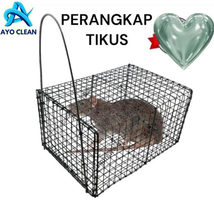Cara membuat perangkap tikus dari galon