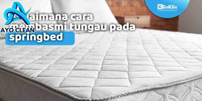 Bagaimana cara membasmi tungau pada springbed - KlinKlin
