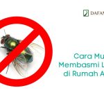 Cara mengusir lalat mudah