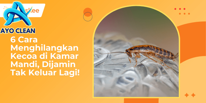 6 Cara Menghilangkan Kecoa di Kamar Mandi, Efektif! – bTaskee