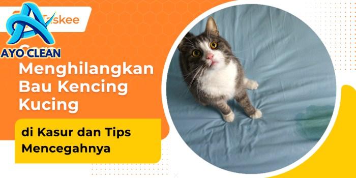 Cara Membersihkan Najis Mugholadoh: Panduan Lengkap – bTaskee