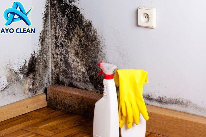 Cara Mengatasi Dinding yang Berjamur dan Berlumut