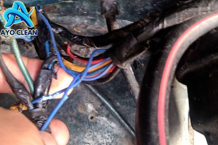 Cara Mudah Cegah Tikus Gigit Kabel Kelistrikan Motor