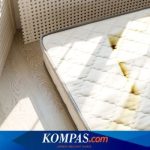 Berita Harian Cara-menghilangkan-jamur-di-kasur Terbaru Hari Ini ...