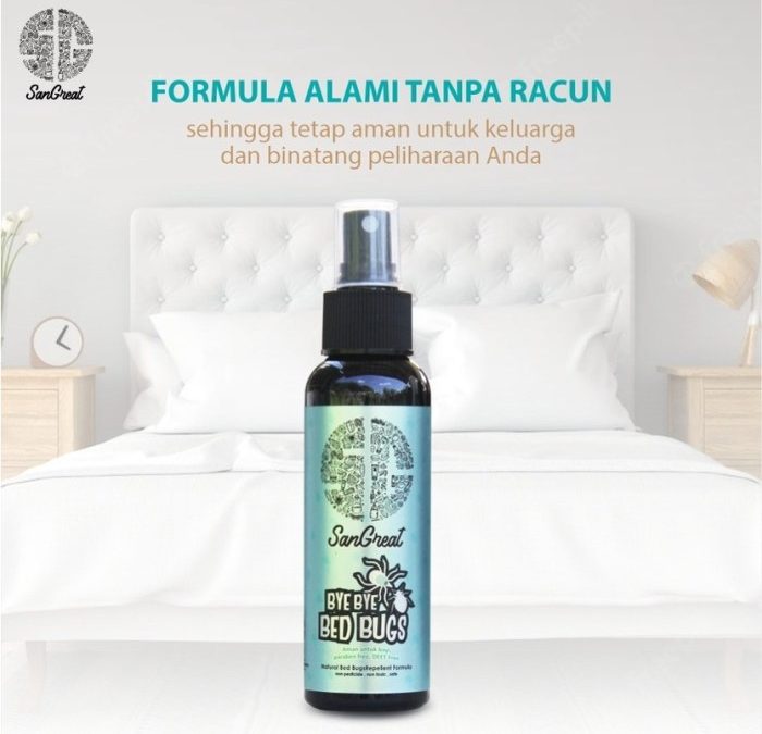 Cara menghilangkan kutu kasur