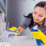 Cara Membasmi Lalat di Rumah - PT Mahaka Improcare Indonesia